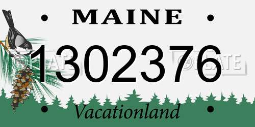 1302376 Maine License Plate