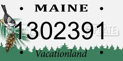 1302391 Maine License Plate