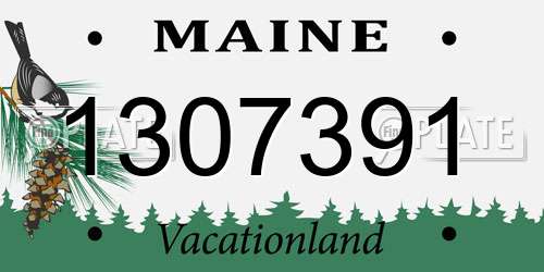 1307391 Maine License Plate