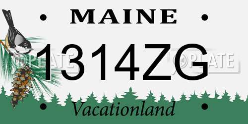 1314ZG Maine License Plate