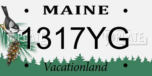 1317YG Maine License Plate