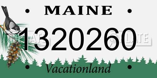 1320260 Maine License Plate