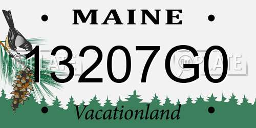 13207G0 Maine License Plate