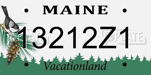 13212Z1 Maine License Plate