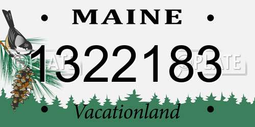 1322183 Maine License Plate