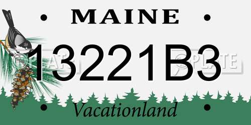 13221B3 Maine License Plate