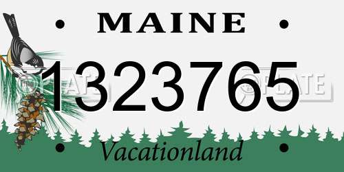 1323765 Maine License Plate