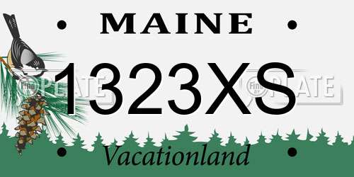 1323XS Maine License Plate