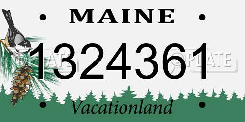 1324361 Maine License Plate