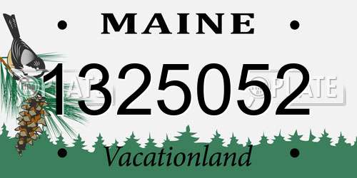 1325052 Maine License Plate