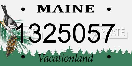 1325057 Maine License Plate