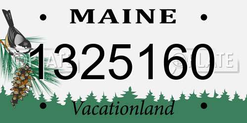 1325160 Maine License Plate