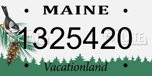 1325420 Maine License Plate