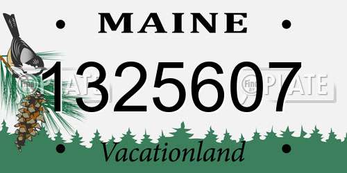 1325607 Maine License Plate