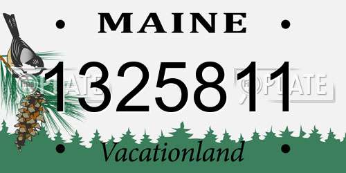 1325811 Maine License Plate