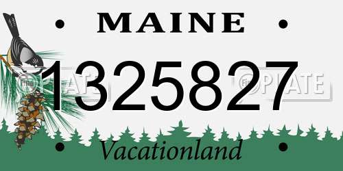 1325827 Maine License Plate