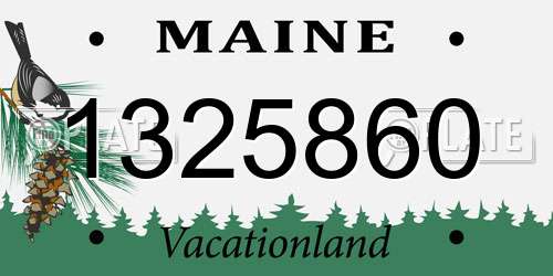 1325860 Maine License Plate