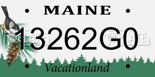 13262G0 Maine License Plate