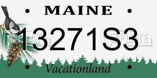 13271S3 Maine License Plate