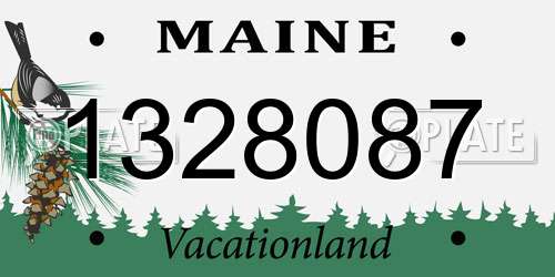 1328087 Maine License Plate