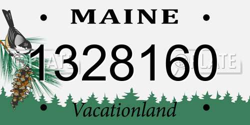 1328160 Maine License Plate