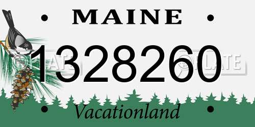 1328260 Maine License Plate