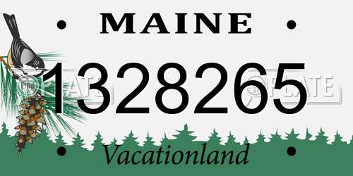 1328265 Maine License Plate