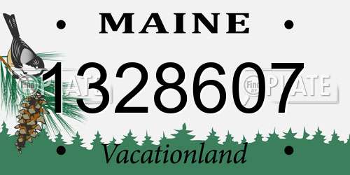 1328607 Maine License Plate