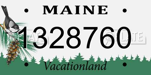 1328760 Maine License Plate