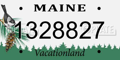 1328827 Maine License Plate