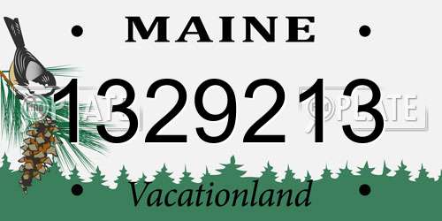 1329213 Maine License Plate
