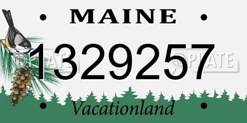1329257 Maine License Plate