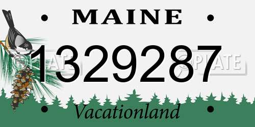 1329287 Maine License Plate