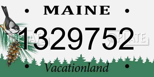 1329752 Maine License Plate