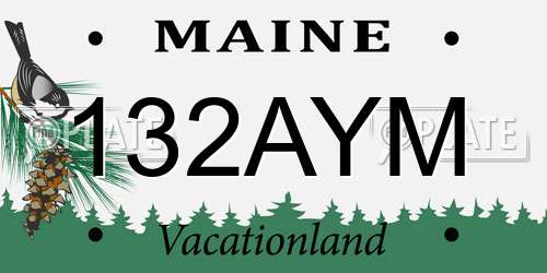 132AYM Maine License Plate