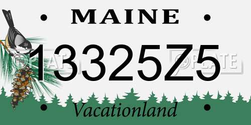 13325Z5 Maine License Plate
