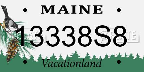 13338S8 Maine License Plate