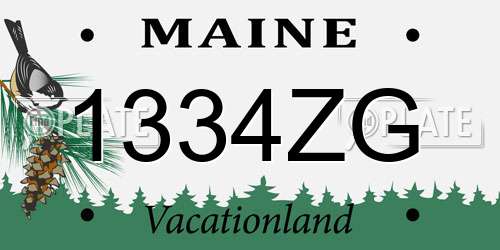 1334ZG Maine License Plate