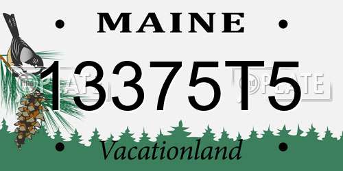13375T5 Maine License Plate