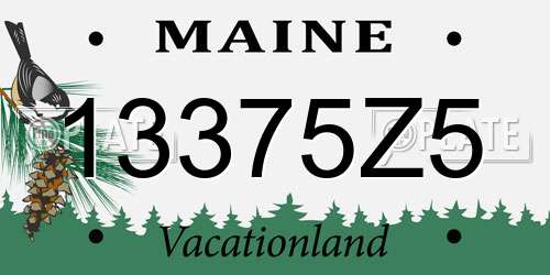 13375Z5 Maine License Plate