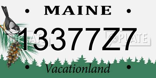 13377Z7 Maine License Plate