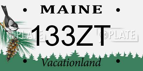 133ZT Maine License Plate