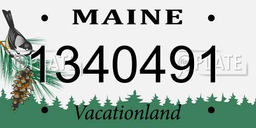 1340491 Maine License Plate