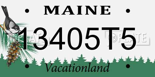 13405T5 Maine License Plate