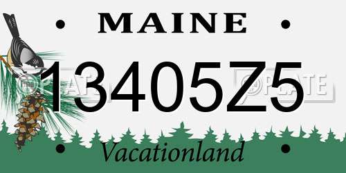 13405Z5 Maine License Plate
