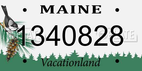 1340828 Maine License Plate
