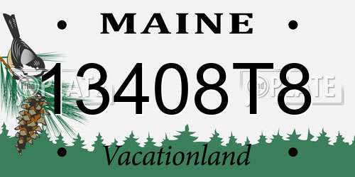 13408T8 Maine License Plate