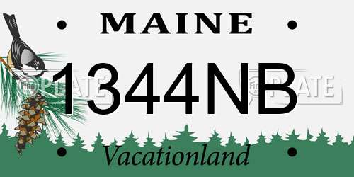 1344NB Maine License Plate