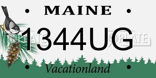 1344UG Maine License Plate