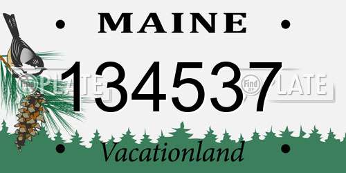 134537 Maine License Plate